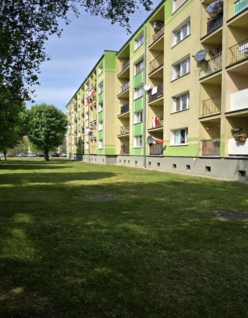 Mieszkanie Sulechów
