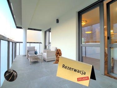 Mieszkanie apartamentowiec wynajem