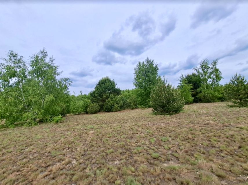 Działka rolna Lipków