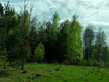 Działka budowlana Marków-Towarzystwo