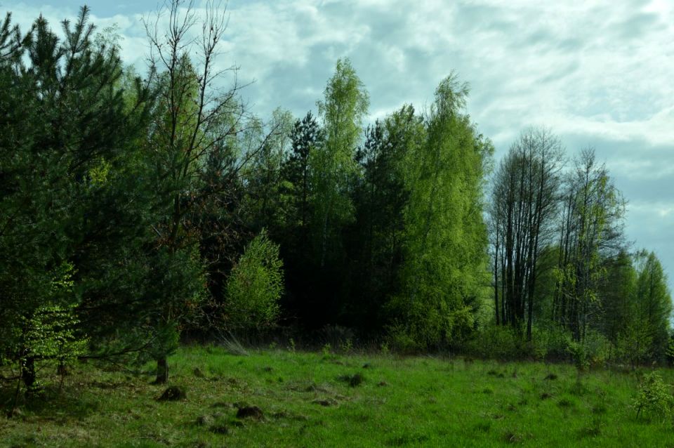 Działka budowlana Marków-Towarzystwo