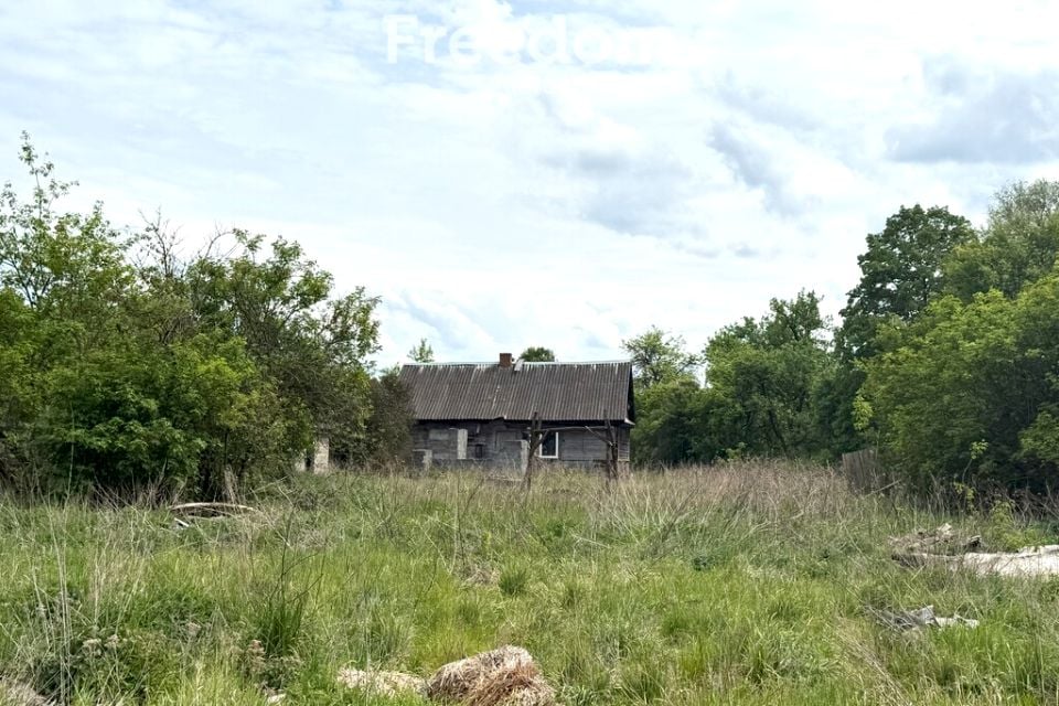 Zdjęcie 3