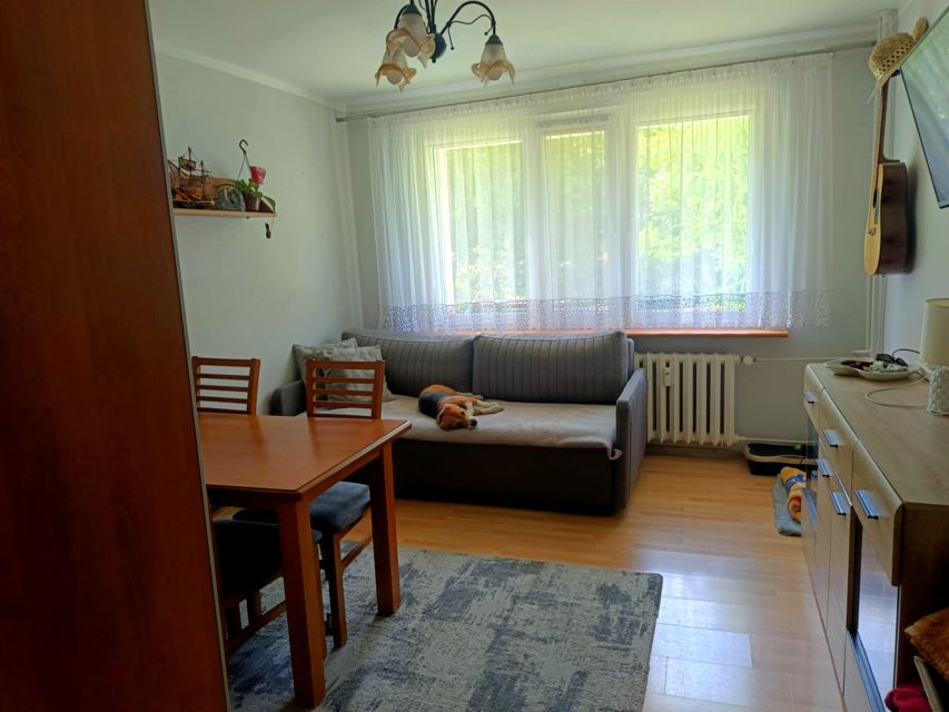 Mieszkanie Trzcianka