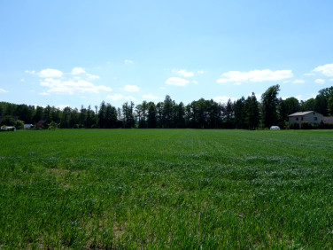 Działka inwestycyjna Skoczów