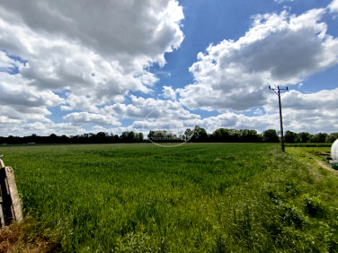 Działka Tarnowiec
