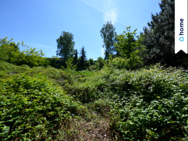 Działka budowlana Rogów