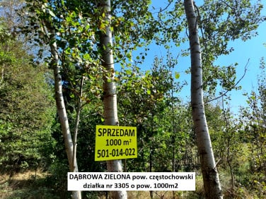 Działka rolna Dąbrowa Zielona