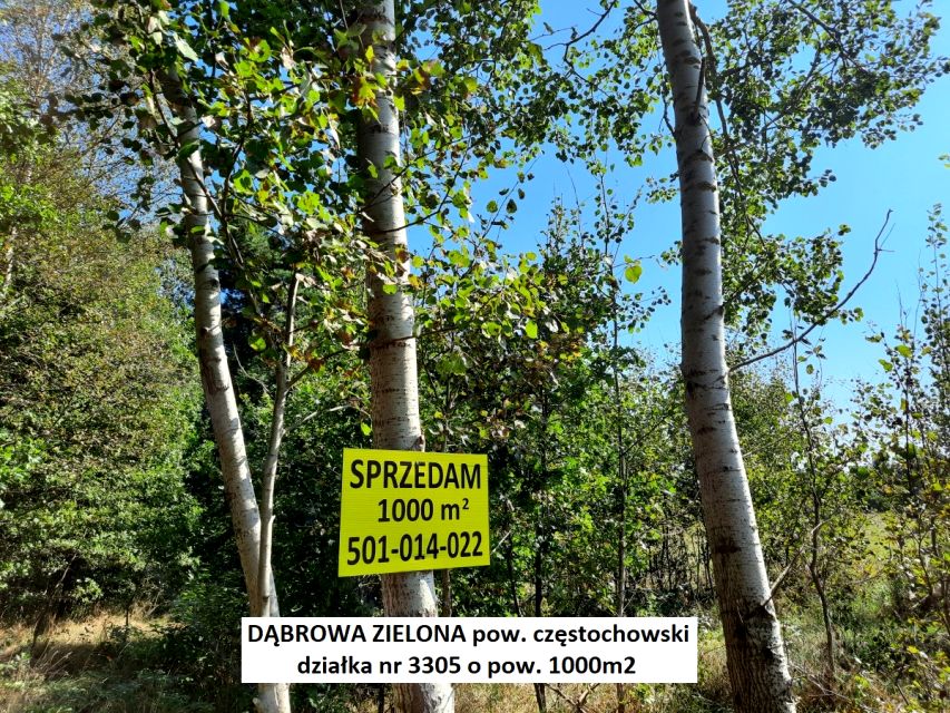 Działka rolna Dąbrowa Zielona