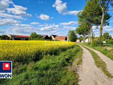 Działka budowlana Dzikowice
