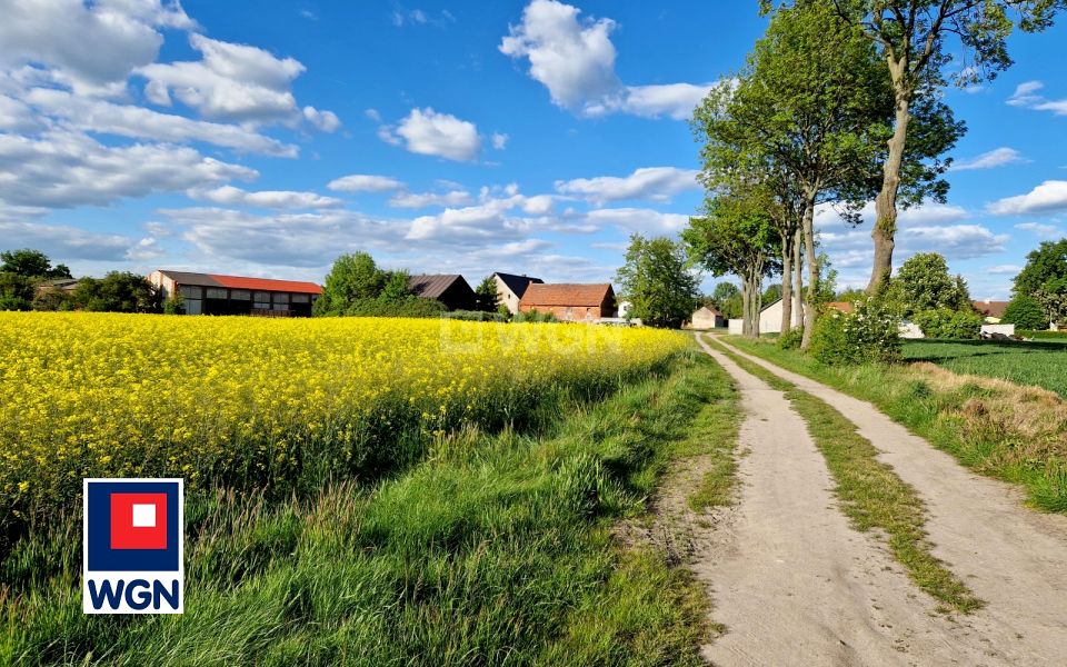 Działka budowlana Dzikowice