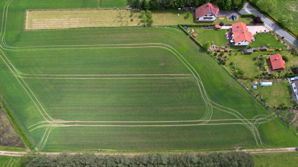 Działka przy lesie