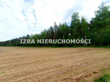Działka rekreacyjna Grabnik