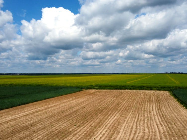 Działka budowlana Jankowice Małe