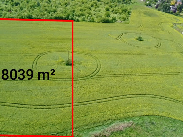 Pusta działka Mierzyn