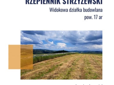 Działka budowlana Rzepiennik Strzyżewski