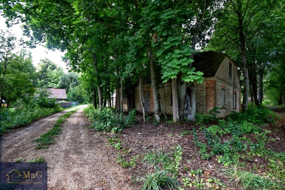 Zdjęcie 3