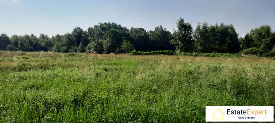 Zdjęcie 3