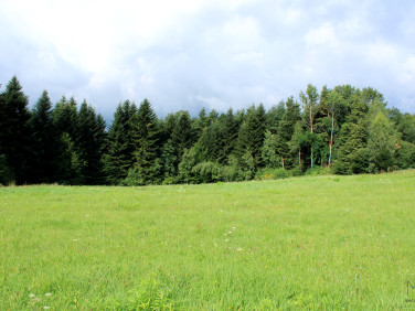 Pusta działka Kornatka