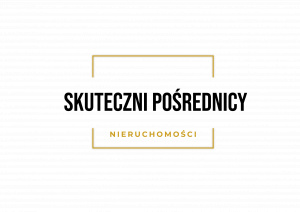 Skuteczni Pośrednicy