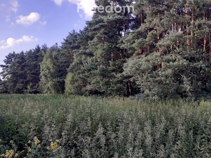 Działka leśna sprzedam