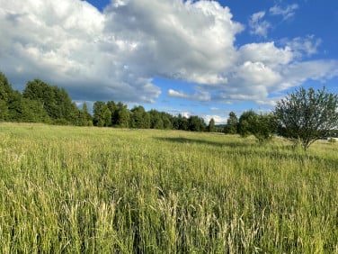 Działka rolna Bóbrka