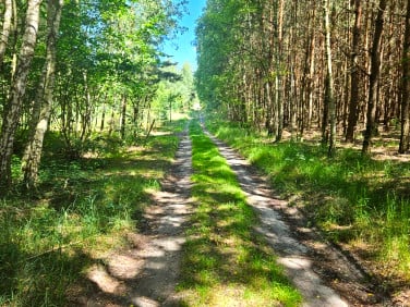 Działka budowlano-rolna Sygontka