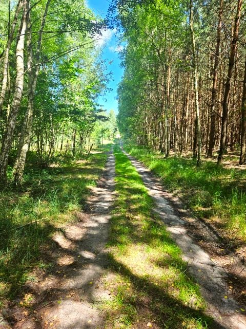 Działka budowlano-rolna Sygontka