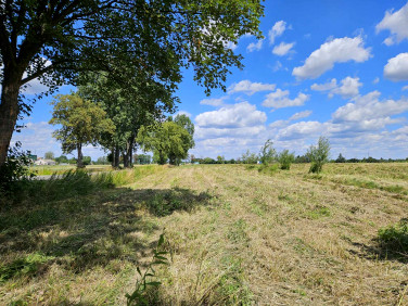 Działka budowlana Bieniewo-Parcela