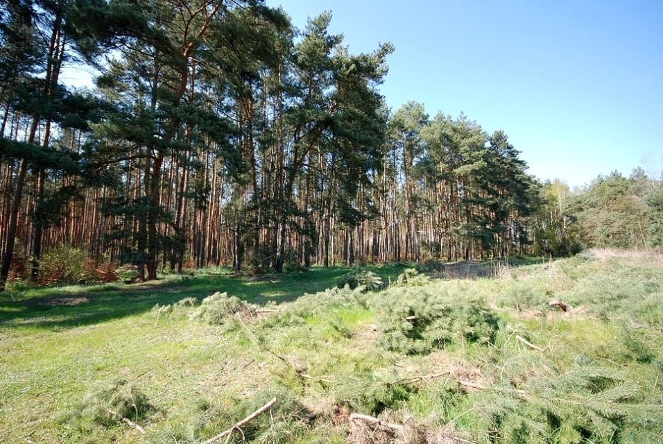 Działka budowlana Grodzanów