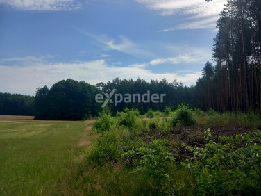Działka inna sprzedam