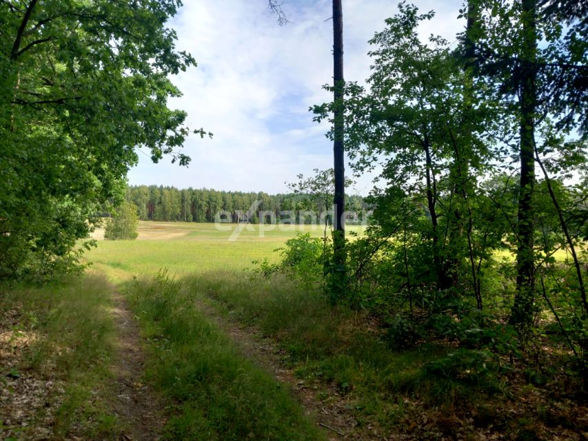 Działka Szczekarzewo