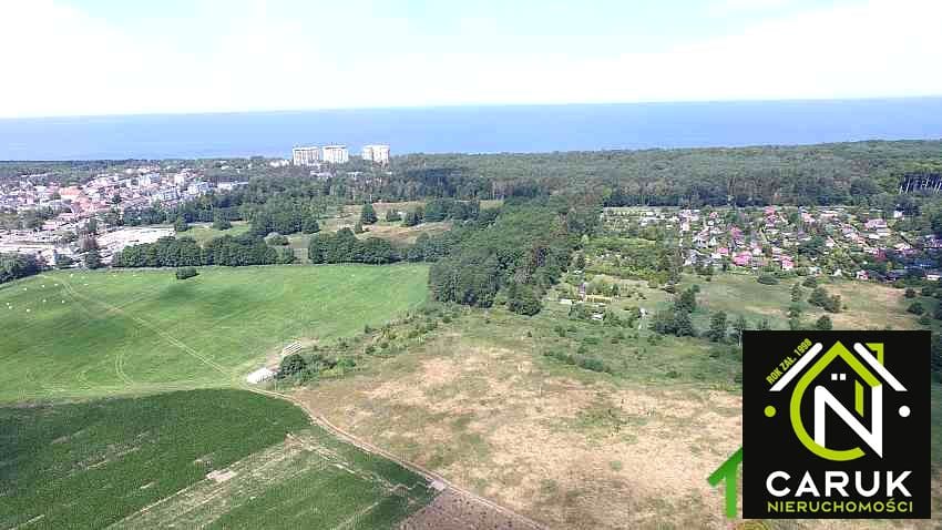 Zdjęcie 2