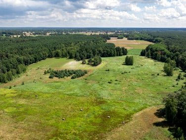 Działka Zielona Góra