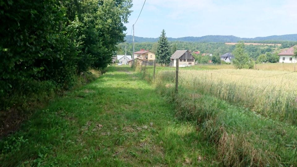 Zdjęcie 2