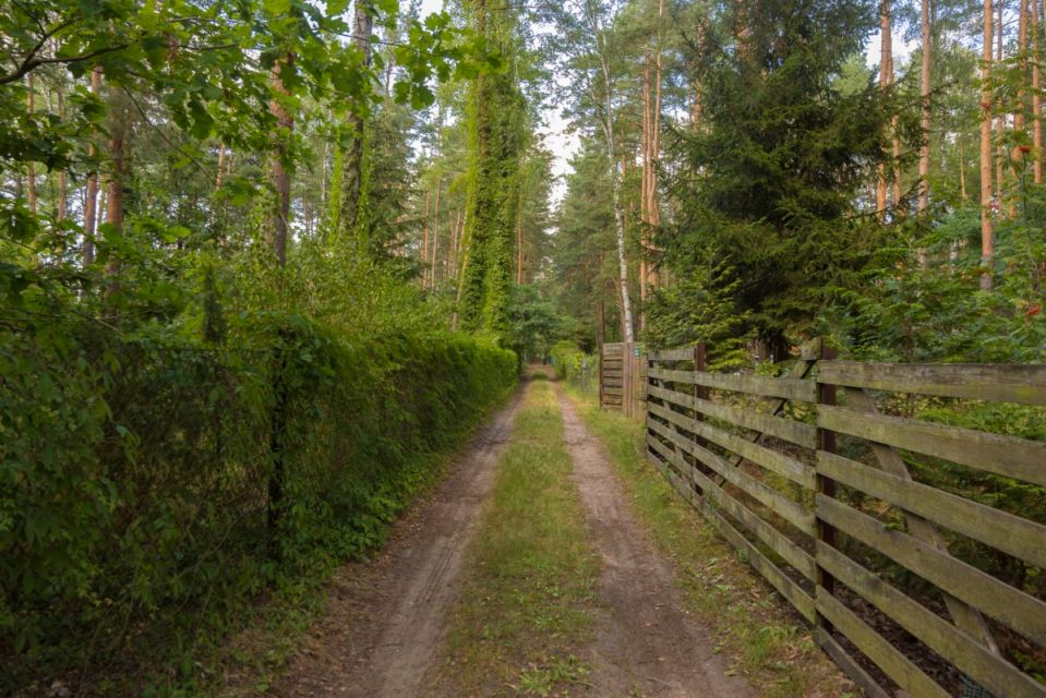 Działka Poddębie