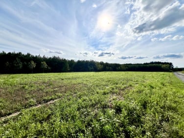 Działka budowlana Wilków