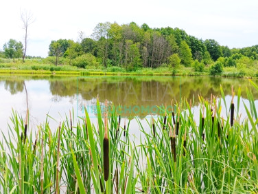 Działka inna Szczęsne