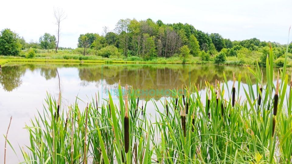 Działka inna Szczęsne