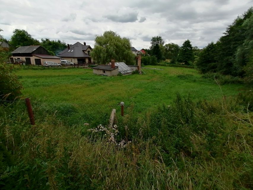Zdjęcie 3