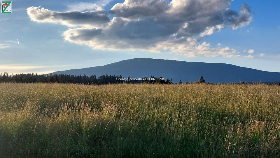 Działka inna Lipnica Wielka