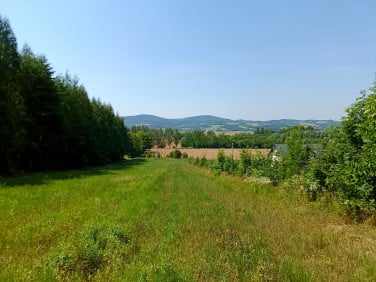 Działka budowlano-rolna Ladzin