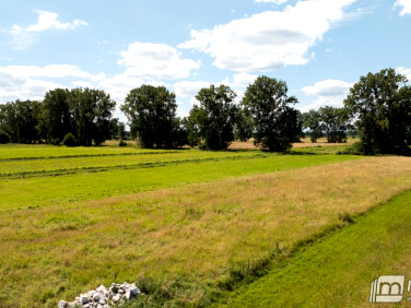 Działka budowlana Kliniska Wielkie sprzedam