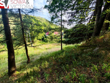 Działka Jelenia Góra