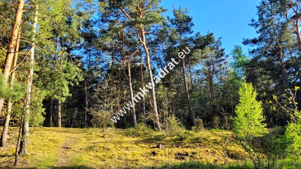 Działka Kazuń-Bielany