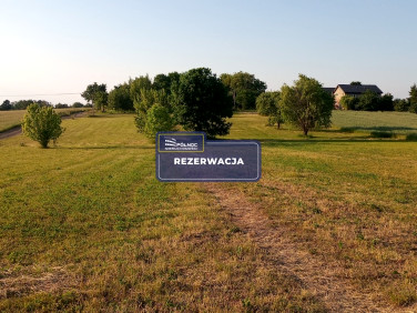 Działka Rogów