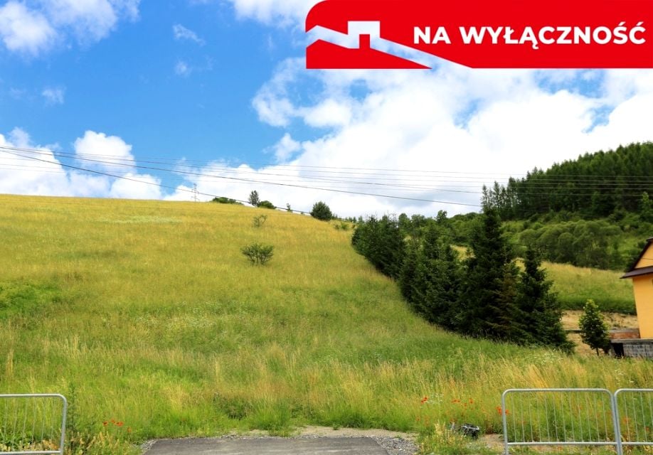 Zdjęcie 2