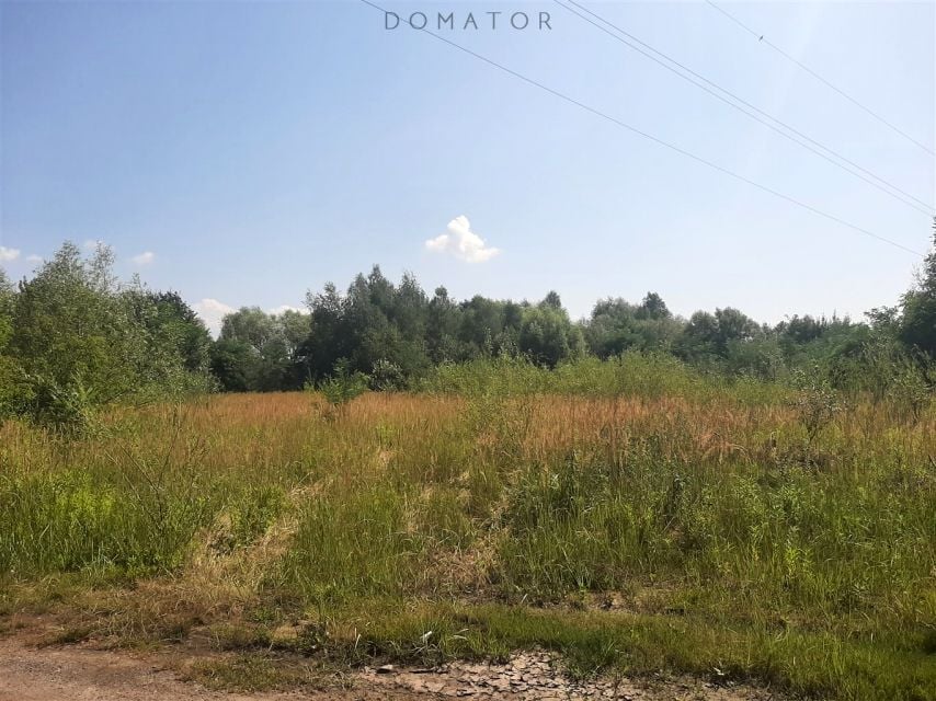 Zdjęcie 2