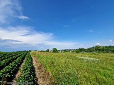 Działka Cianowice małe