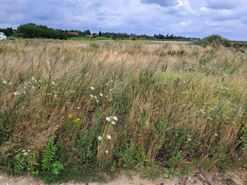 Działka budowlana Janczewo