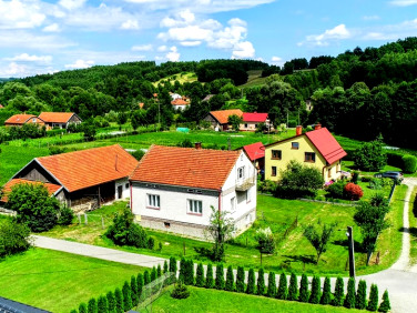 Dom Wysoka Strzyżowska sprzedaż